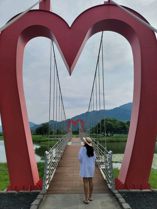 유럽수국이 예쁘게 피어나는 하동 동정호💚