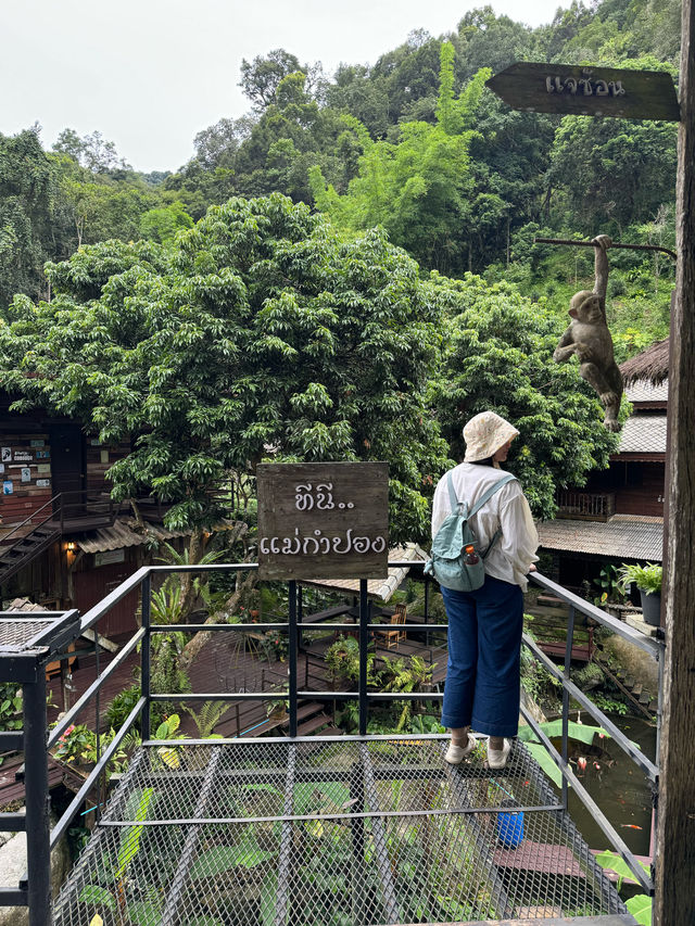 ที่พักแม่กำปอง | จ.เชียงใหม่ 🏡⛰️🍃💤