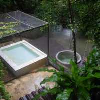 บ้านในหมง treehouse 