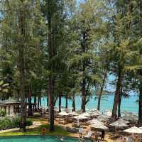 Pine Beach Bar