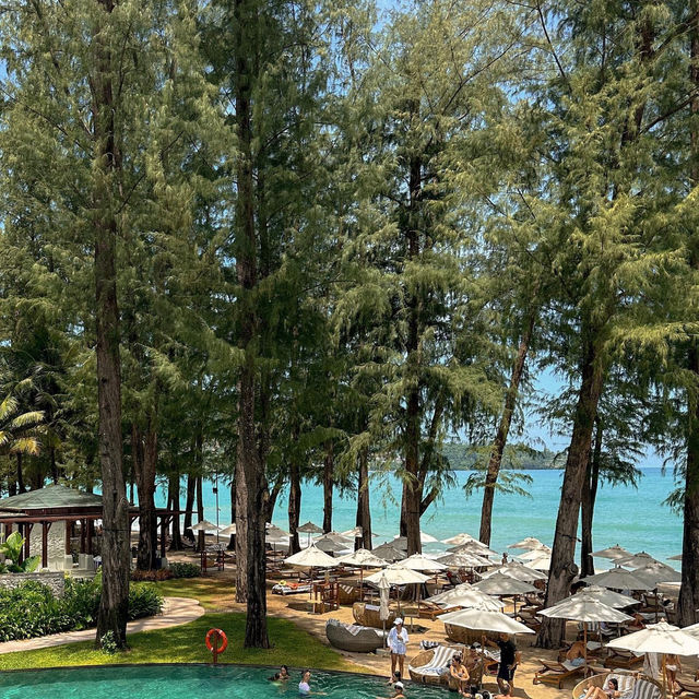 Pine Beach Bar