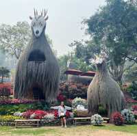 🌺สวนรุกขชาติแม่ฟ้าหลวง...สวนกุหลาบพันปี🌺