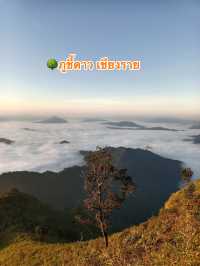 🌳ภูชี้ดาว เชียงราย