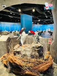 🇸🇬 Underwater Forest Penguin Cove