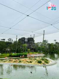 🇸🇬 Crimson Wetlands