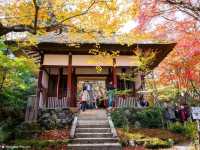 วัดโจจัคคุจิ (Jojakkoji Temple)