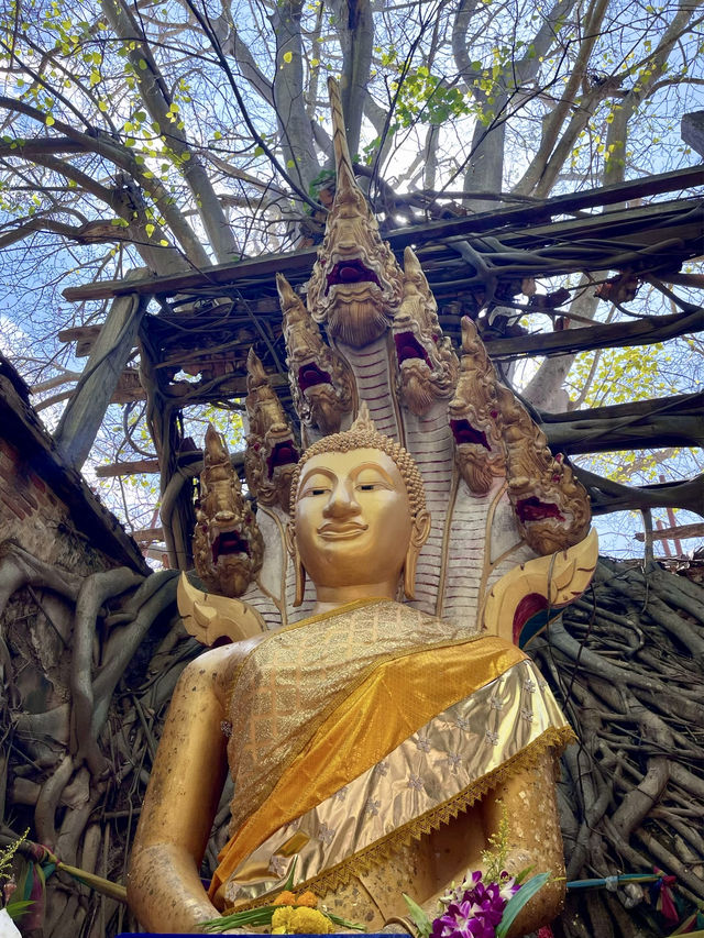 แต้มบุญต้องอย่าขาด...