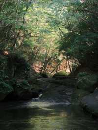 大分〜宇佐〜岳切渓谷