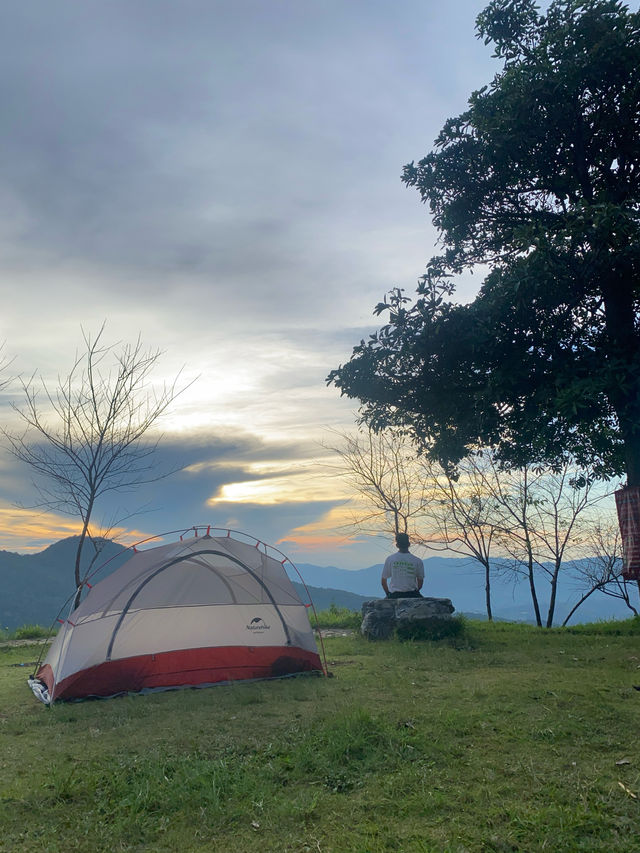 แคมป์ภูชี้ฟ้า | จ.เชียงราย ⛺️🌳☀️💫