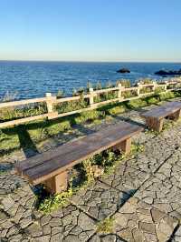 【北海道絶景スポット】礼文島澄海岬✨