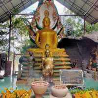 วัดป่าปากโดม - สักการะปู่พญาทะนะมูลนาคราช