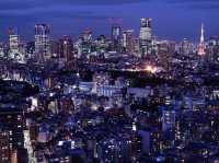 東京必去！超美免費入場的惠比壽花園廣場大樓38樓觀景台