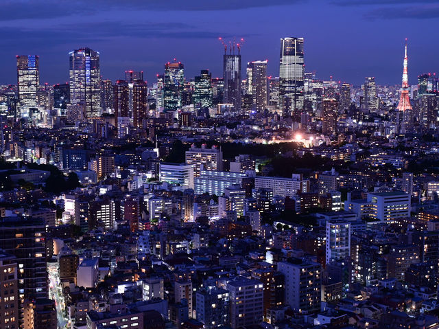 東京必去！超美免費入場的惠比壽花園廣場大樓38樓觀景台