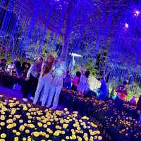 A Night to Remember: Discovering Pesta Floria Putrajaya