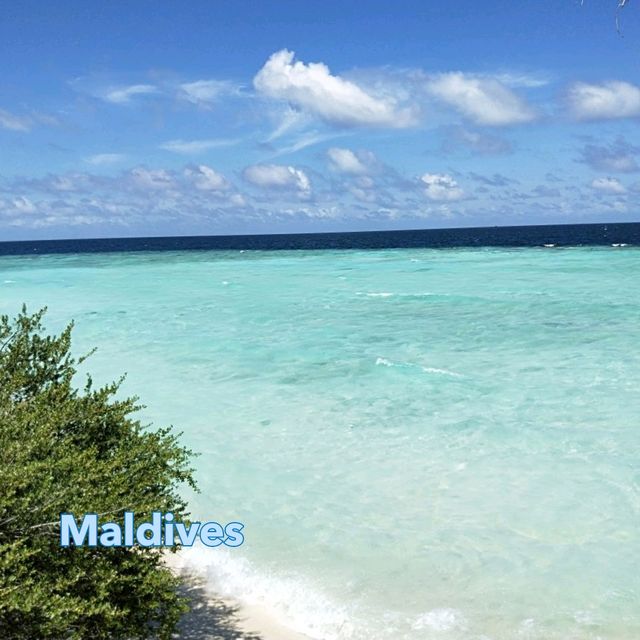 馬爾代夫🇲🇻 Eriyadu island resort