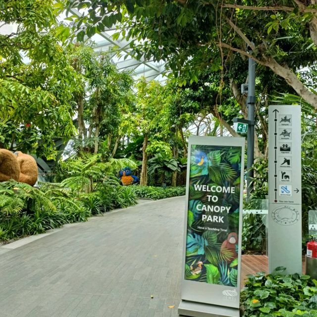 Canopy Park at Jewel Changi 