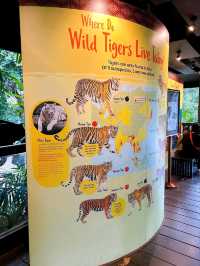 Outdoor Adventure at Singapore Zoo