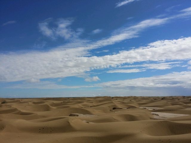 Desert Pit Stop: Fun and Adventure in the Taklamakan Desert