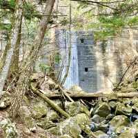【山梨県】可愛らしい癒しの滝