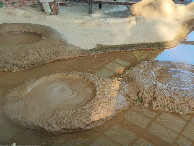 【大分】別府温泉♨️色とりどりの地獄めぐりは天国なのかもしれない