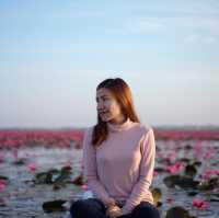 ทะเลบัวแดง🪷💗