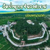 วัดป่าพุทธชินวงศาราม