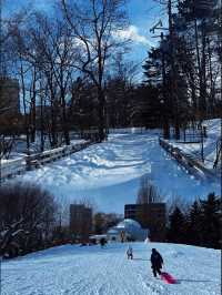 【北海道旅行】浪漫冬季中島公園，適合情侶和家庭放鬆享受美好冬季