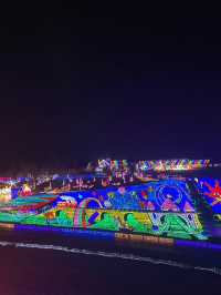 【袖ヶ浦市】まるでテーマパーク！光り輝く東京ドイツ村