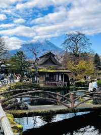 【秋の山梨1泊2日旅】 リフレが素晴らしいおすすめスポット！