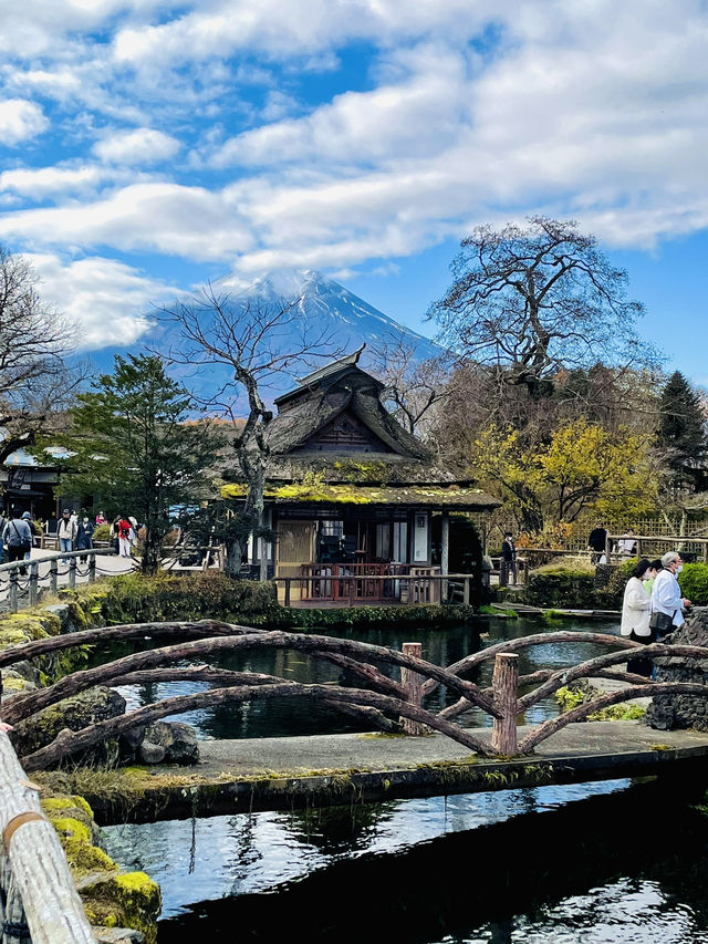 【秋の山梨1泊2日旅】 リフレが素晴らしいおすすめスポット！