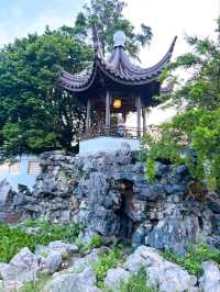 Exploring the Bonsai Garden in Singapore