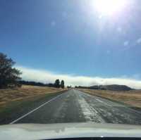 【ニュージーランド🇳🇿】テカポ湖ドライブ！