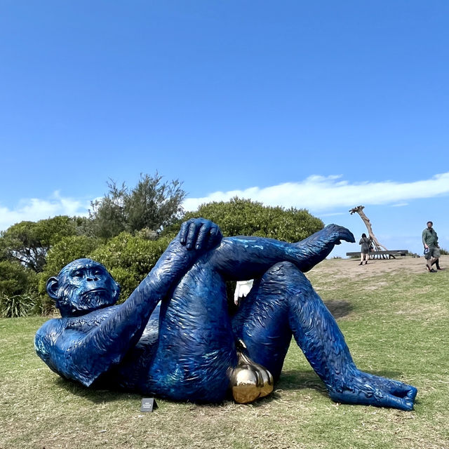 🏖️☀️ Chill at Bondi Beach! 