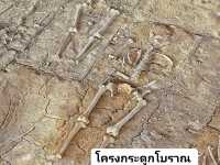 หมู่บ้านโบราณ พิพิธภัณฑ์ โปรตุเกส นิทรรศกาลถาวร