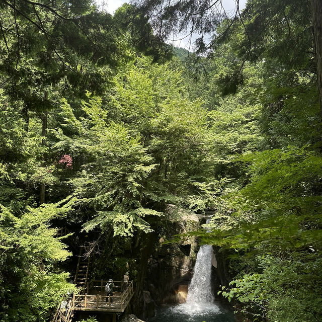 【岐阜観光】マイナスイオンで癒しの旅へ🩵