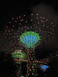 Garden by the bay 📍Singapore 