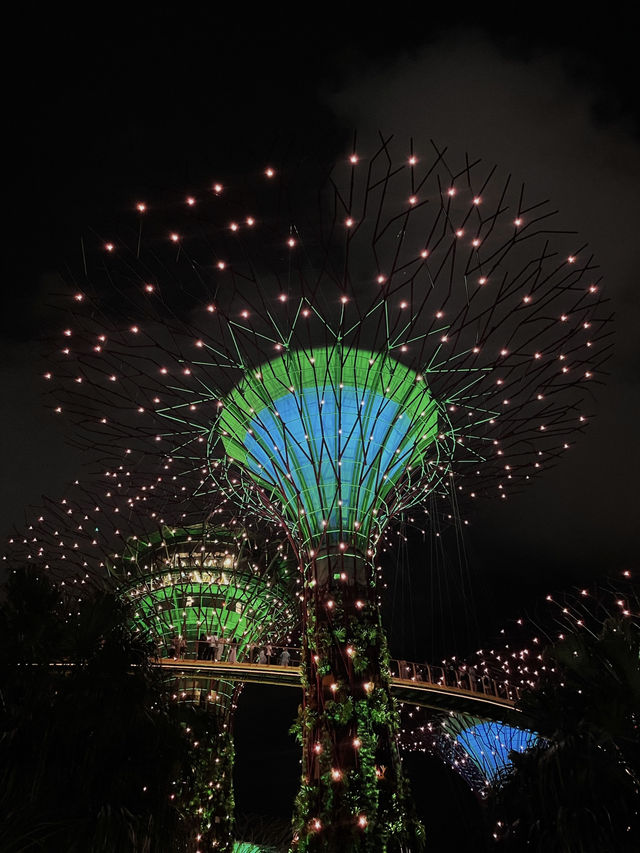 Garden by the bay 📍Singapore 