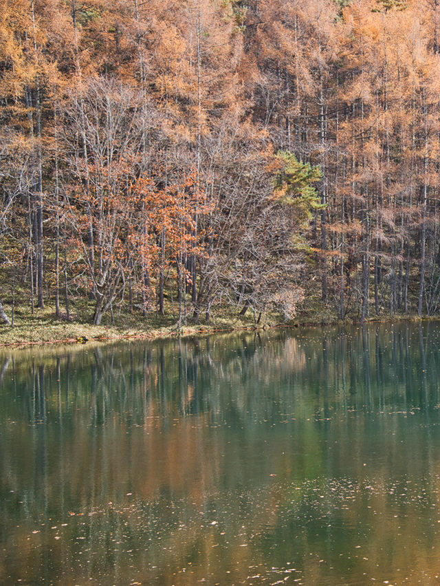 【長野】水面に映り込む超神秘的や紅葉絶景✨✨