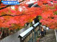 日本三景-宮島的漫山楓紅與海上鳥居