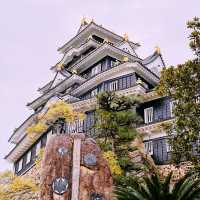 Black Castle Wonder: My Adventure Through Okayama’s Samurai History!