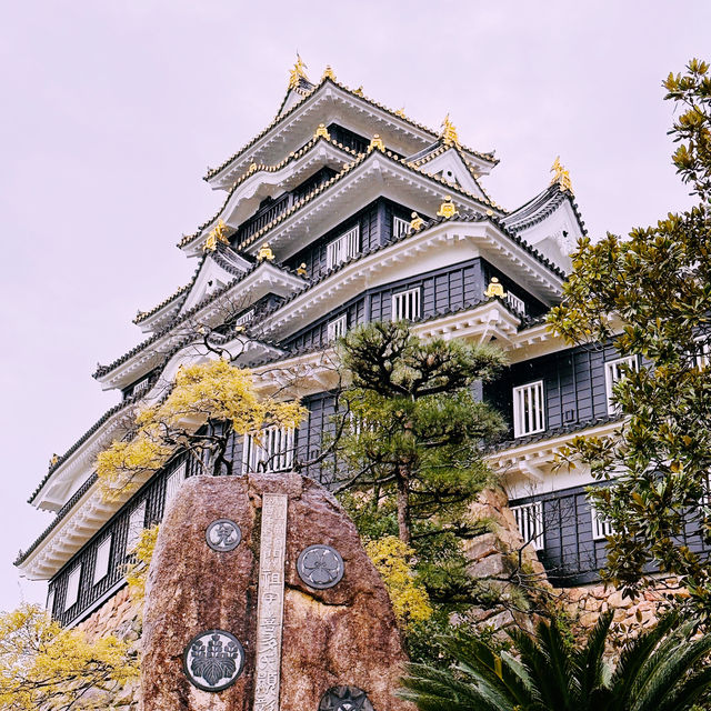 Black Castle Wonder: My Adventure Through Okayama’s Samurai History!