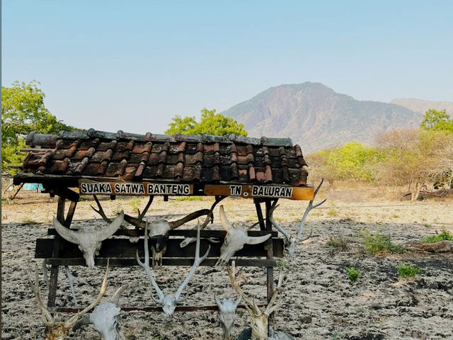 Baluran National Park