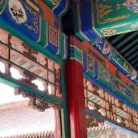 🏯✨【北京故宮探秘】✨🏯