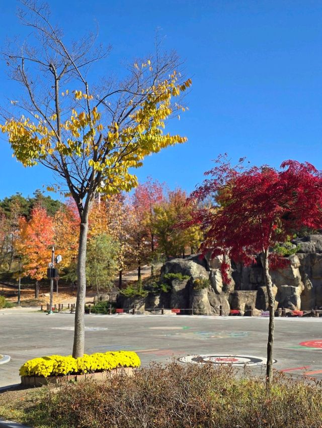 알록달록 단풍이 예쁜 거창 도시숲공원🍁