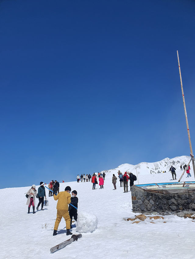 ❄️✨Tateyama 