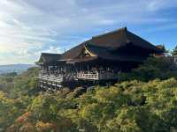 ขอพรวัดวัดคิโยมิซึ วัดดังประจำเมืองเกียวโต