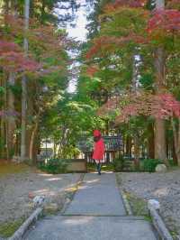 【兵庫】秋の映え写真、マストスポット🎨 🍁