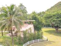 รีวิว The Scenery Vintage Farm บ้าน Napier Villa 