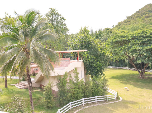 รีวิว The Scenery Vintage Farm บ้าน Napier Villa 