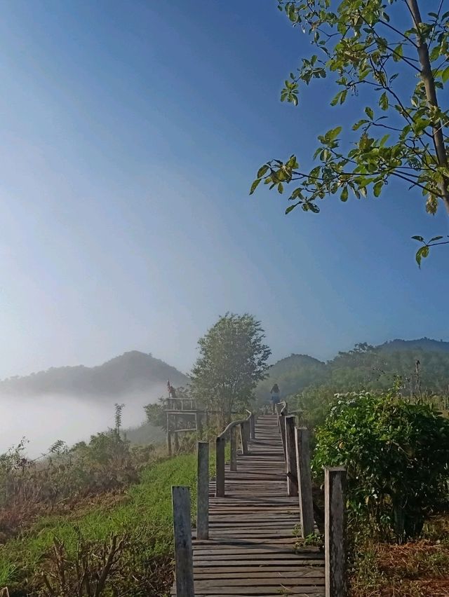 ชมทะเลหมอกภูลำดวน